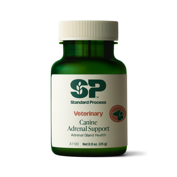 Veterinary