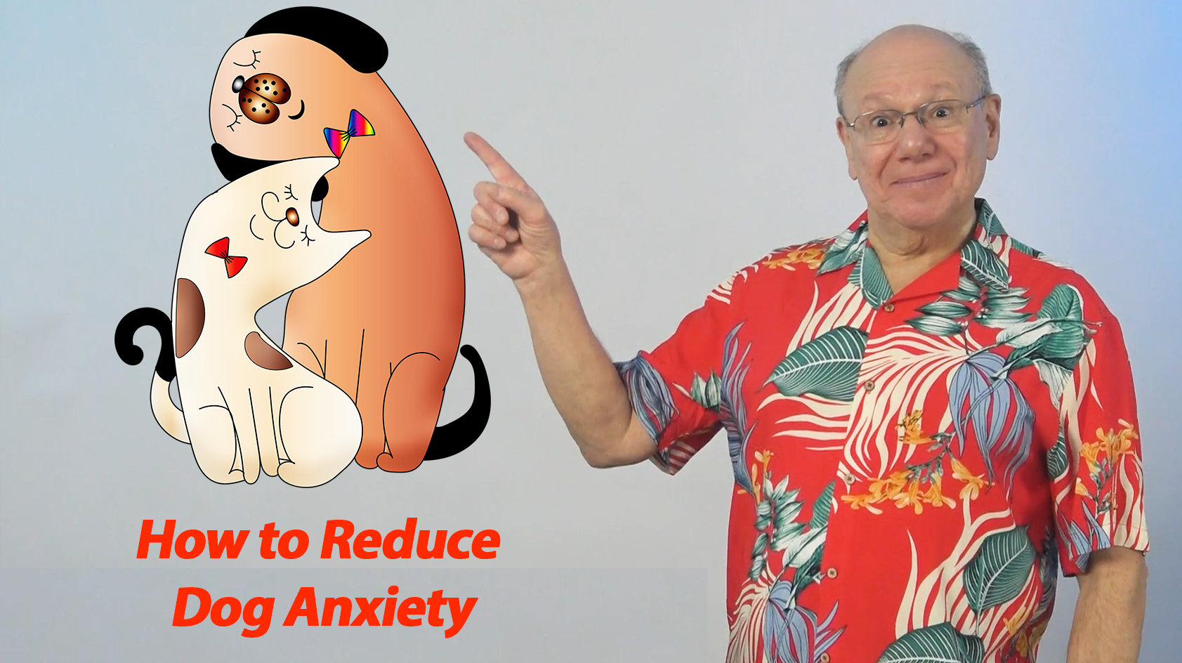 How to Help Your Dog Be Happier