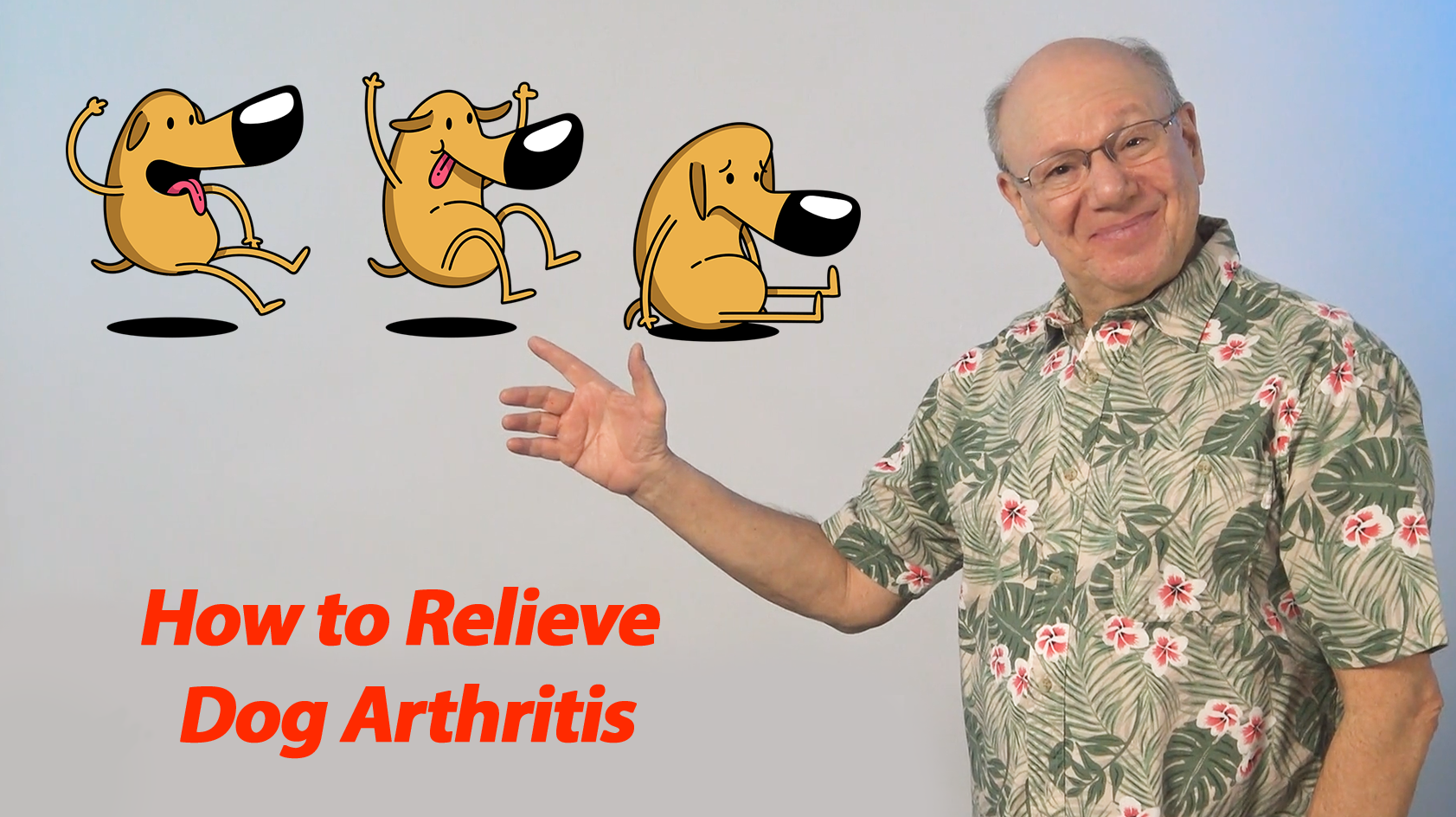 How to Help Your Dog Be Happier