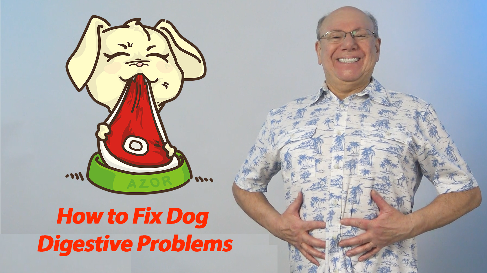 How to Help Your Dog Be Happier